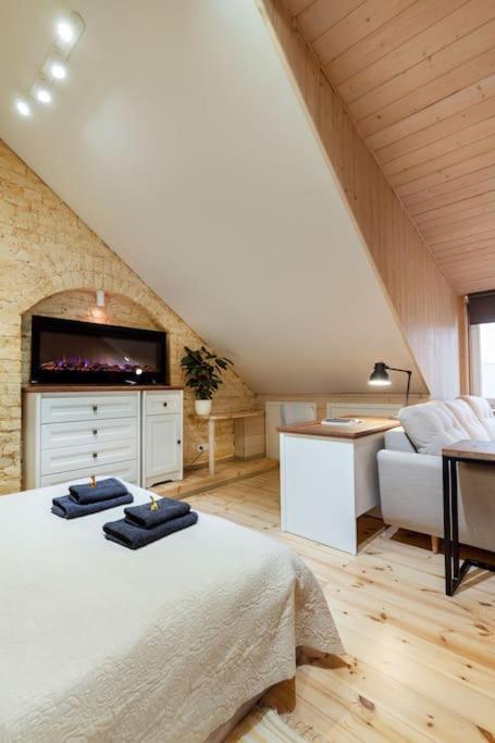 Luxury Apartment In Gedimino Av. Вильнюс Экстерьер фото